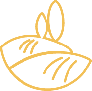 Star icon