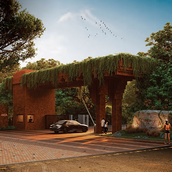 portfolio img